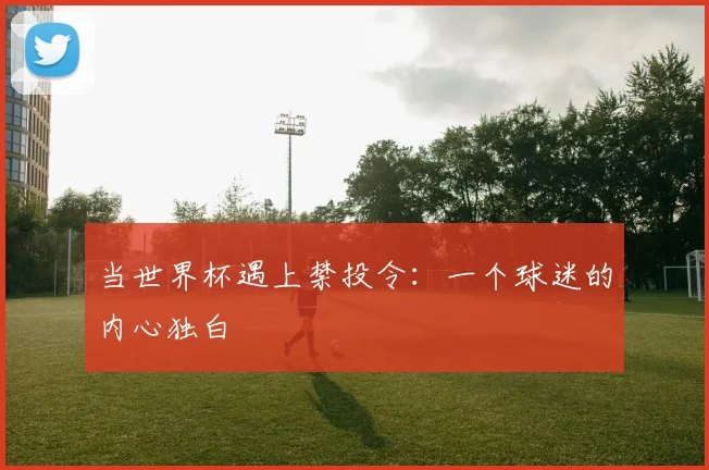 当世界杯遇上禁投令：一个球迷的内心独白