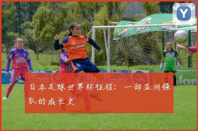 日本足球世界杯征程：一部亚洲强队的成长史