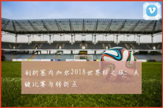 剖析塞内加尔2018世界杯之旅：关键比赛与转折点