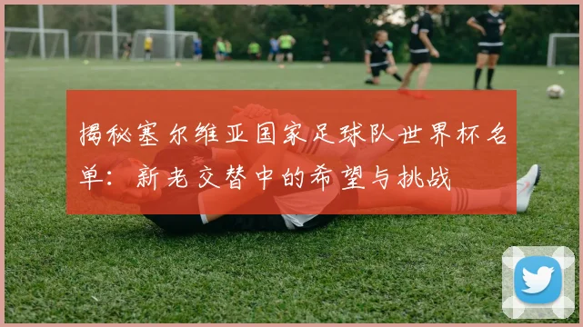 揭秘塞尔维亚国家足球队世界杯名单:新老交替中的希望与挑战