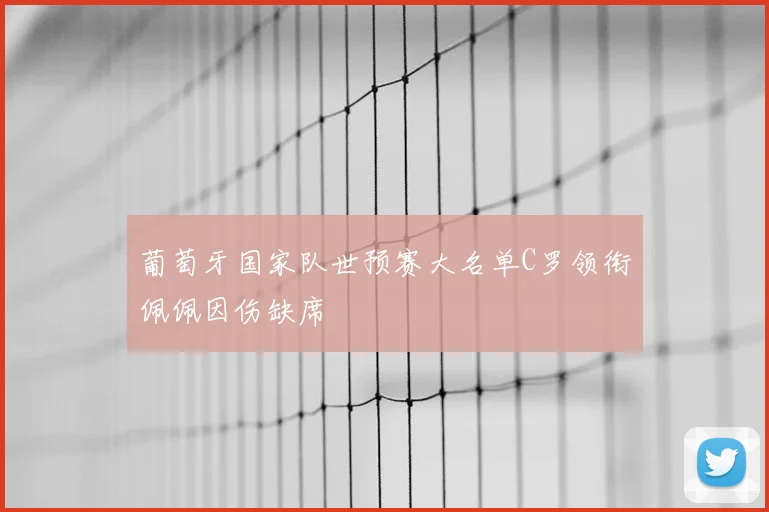 葡萄牙国家队世预赛大名单C罗领衔佩佩因伤缺席
